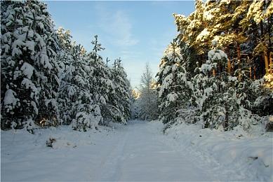 Focus收购法国《合金弹头：战略版》开发商Leiker Studio